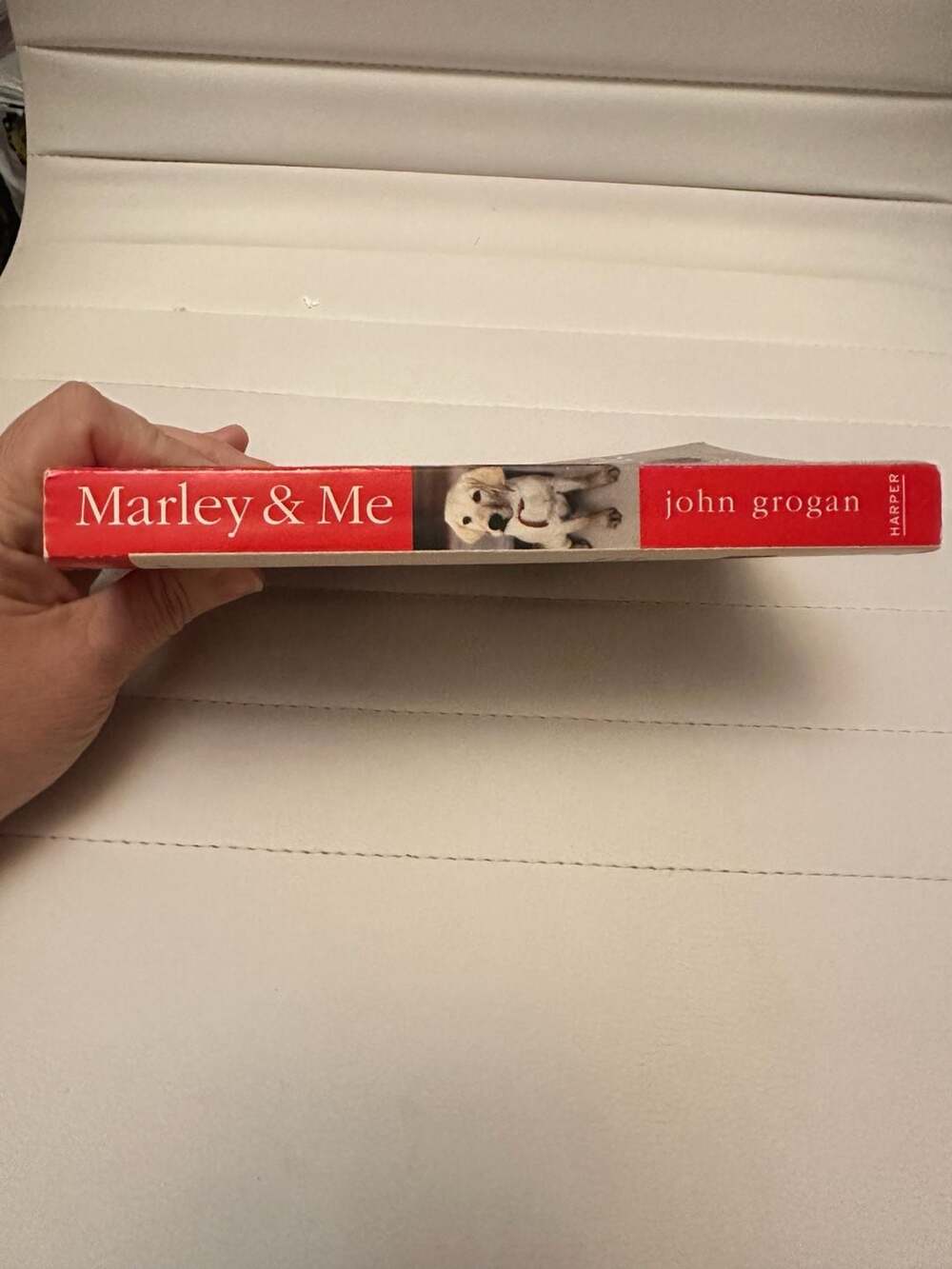 Marley & Me: Life and Love with the World's Worst Dog by John Grogan (Paperback) - Picture 3 of 4